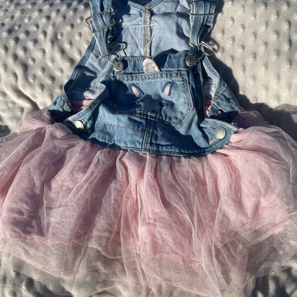 OshKosh B'gosh Denim and Pink Tulle Dress